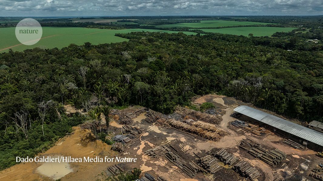 Increased Amazon carbon emissions can be explained by decline in law enforcement