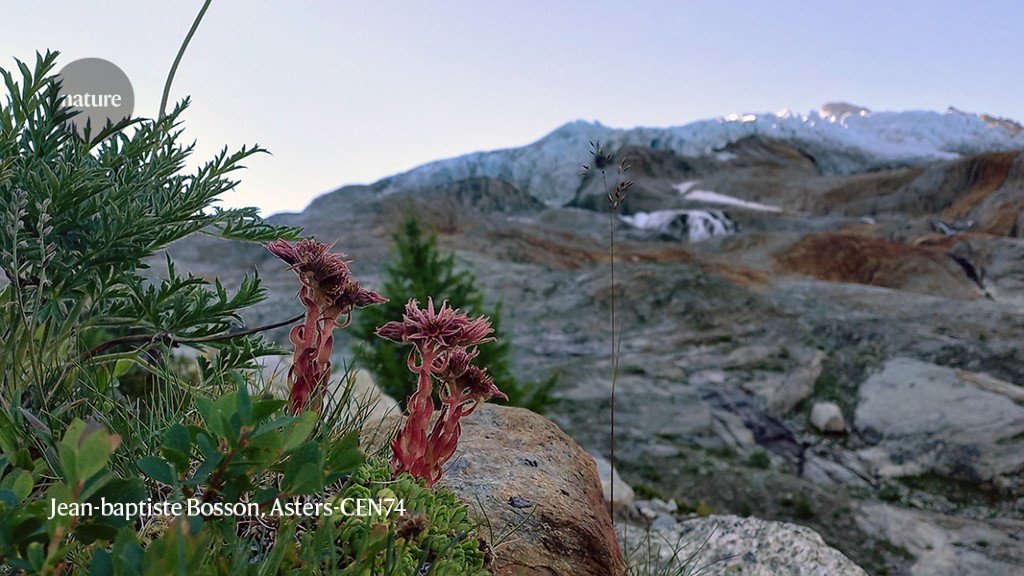 In need of protection will be vast new glaciers