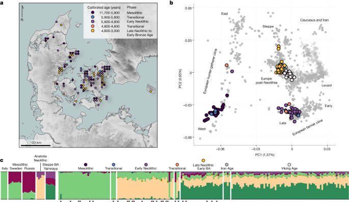 The ancient genomes of 100 countries show population turnovers