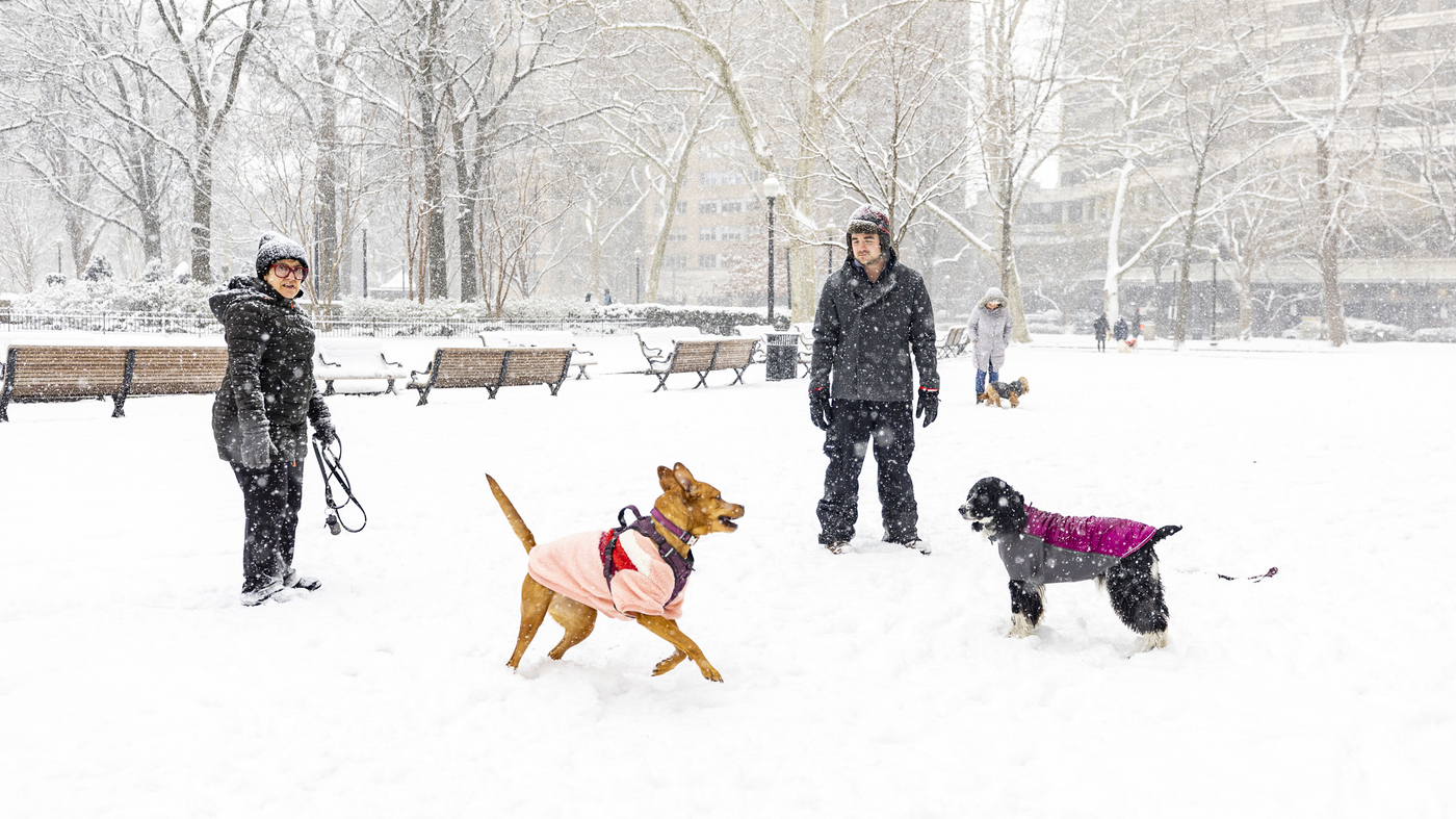 67 deaths have been blamed on icy weather in the U.S