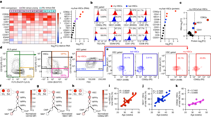 Old immunity is regenerated by the deficiency of  leukaemia-biased haematopoietic stem cells