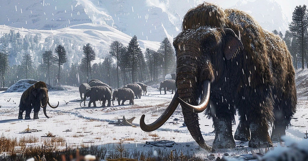 The woolly mammoth is being revived by scientists