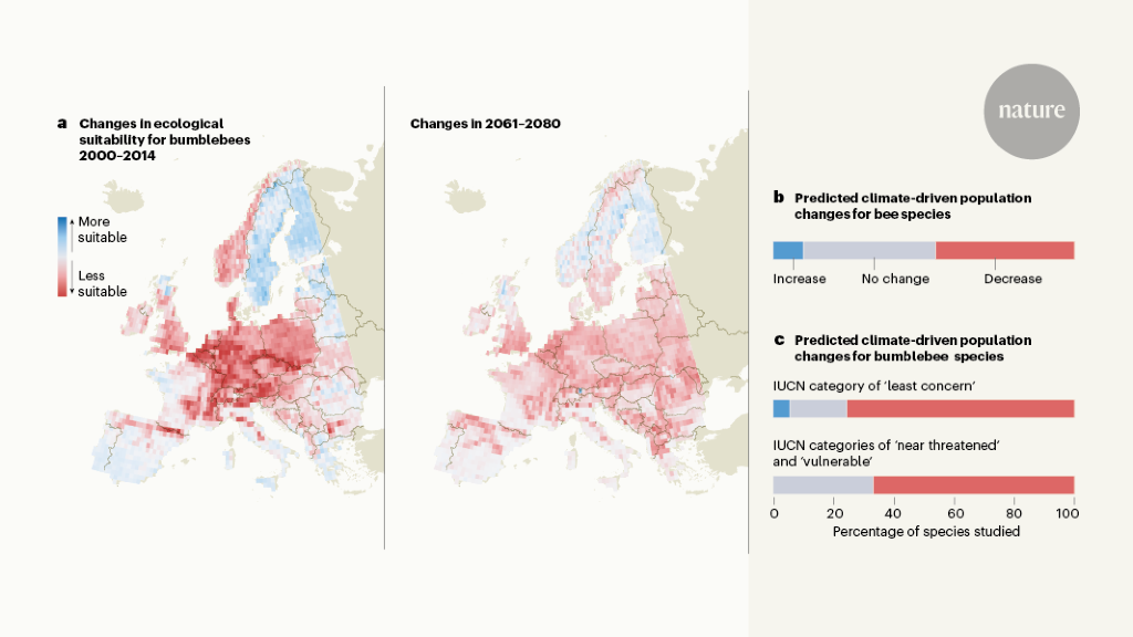 Under climate change bee abundance is predicted