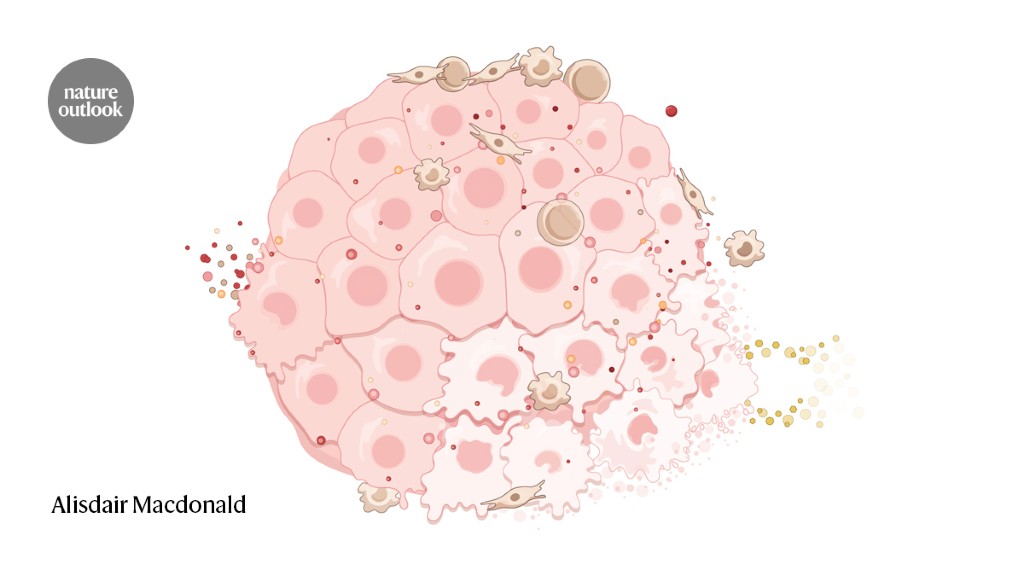 What works with a cancer vaccine?