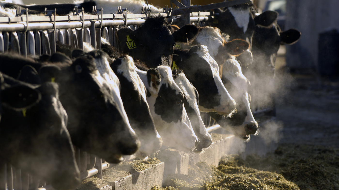 The CDC is protecting against bird flu