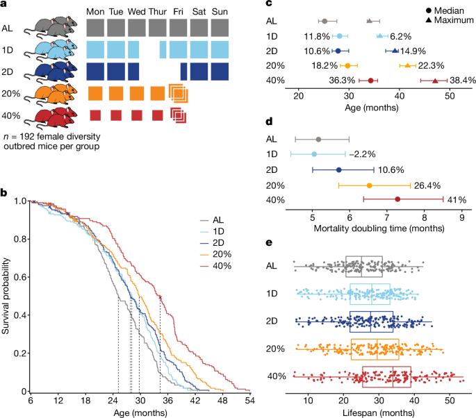 There is a correlation between diet and health and lifespan of genetically diverse mice