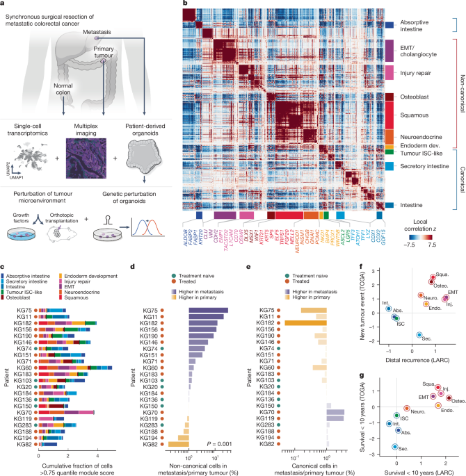 Tumour evolution and microenvironment interact in 2D and 3D space