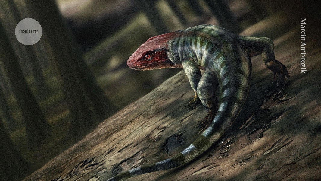 The claw marks are from dinosaurs, which arose far earlier than thought